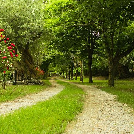 Villa Ciclopark Morano Calabro Esterno foto