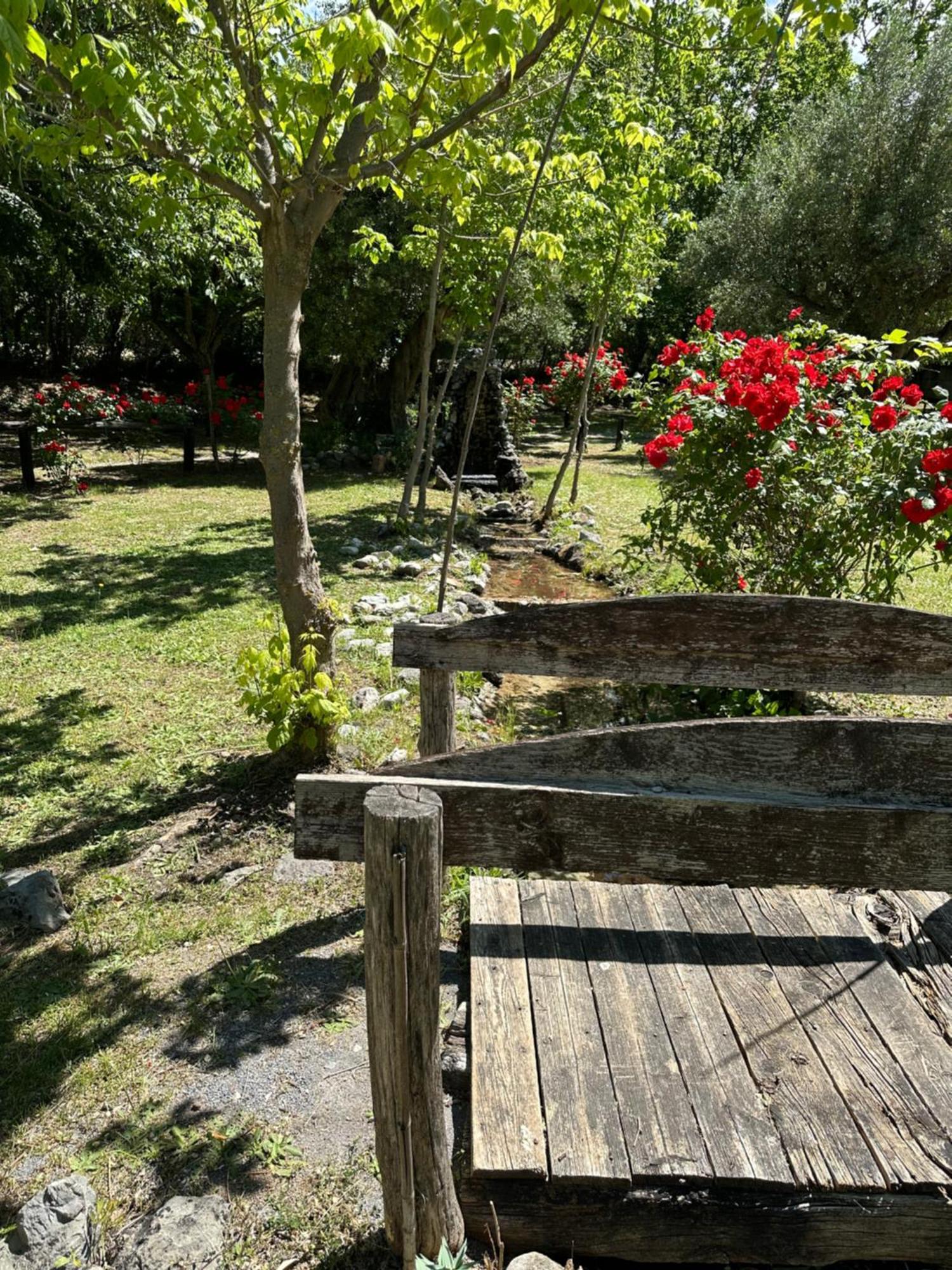 Villa Ciclopark Morano Calabro Esterno foto
