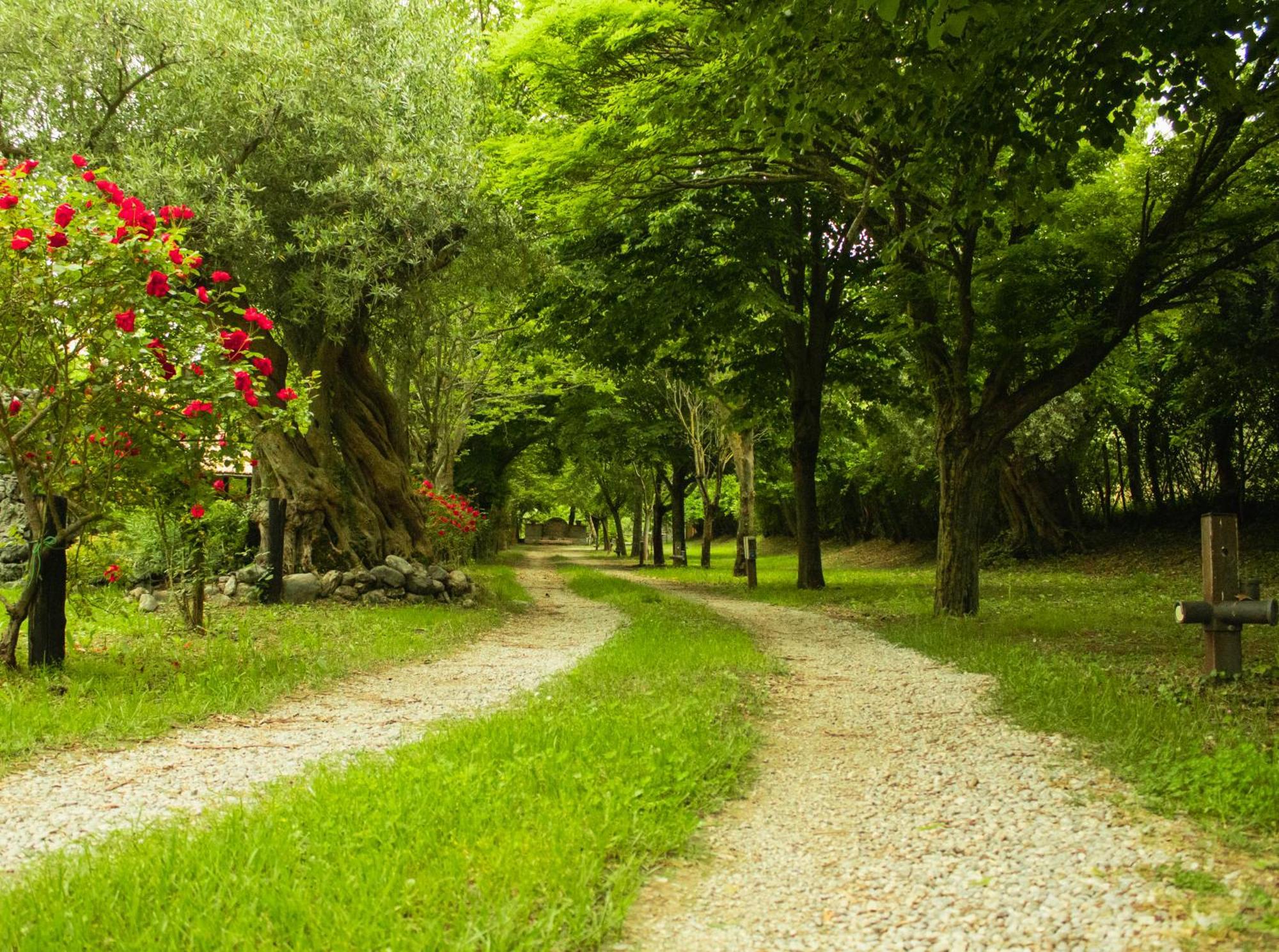 Villa Ciclopark Morano Calabro Esterno foto